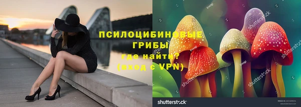Альфа ПВП Бердск
