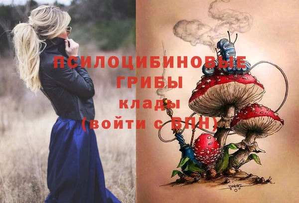 Альфа ПВП Бердск