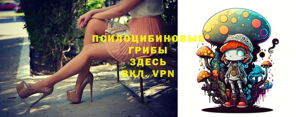 Альфа ПВП Бердск