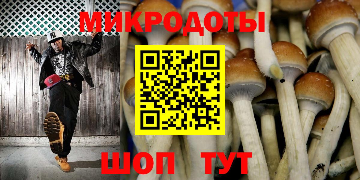 Дальнереченск  Псилоцибиновые грибы Psilocybine cubensis  Вход с VPN 
